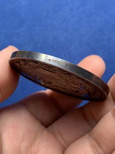 《竞宝斋》第430场 周日，周一，周二 3场连拍 （全场包邮） 法国教育援助基金会纪念银章 丰饶角银标 63.65克 50.5mm