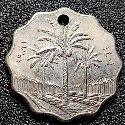 泉币菌-第112场-精品福利场 - 花边币 棕榈树 伊拉克 10费尔硬币 打孔