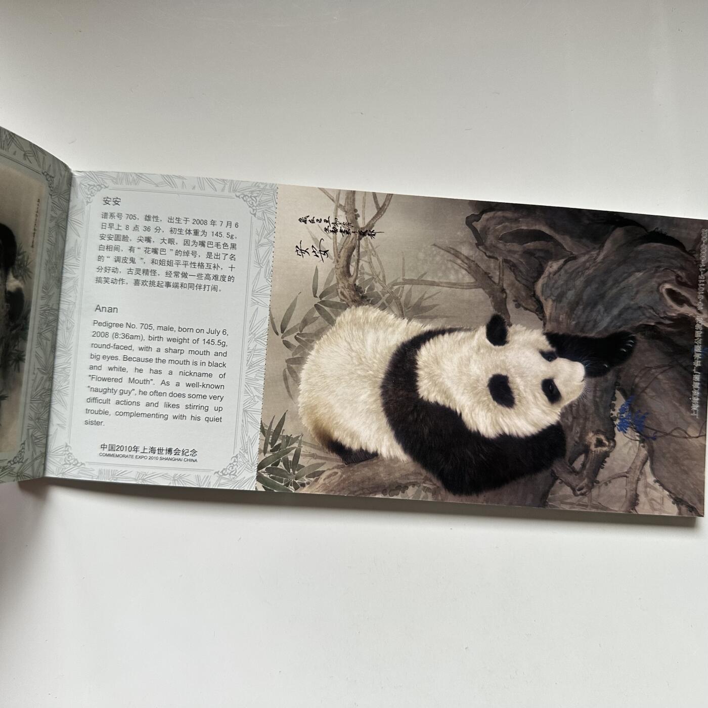 🌹外币初藏🌹🐯2025年第117场  每周二四六晚8️⃣点 接代拍 世博会熊猫明信片一本