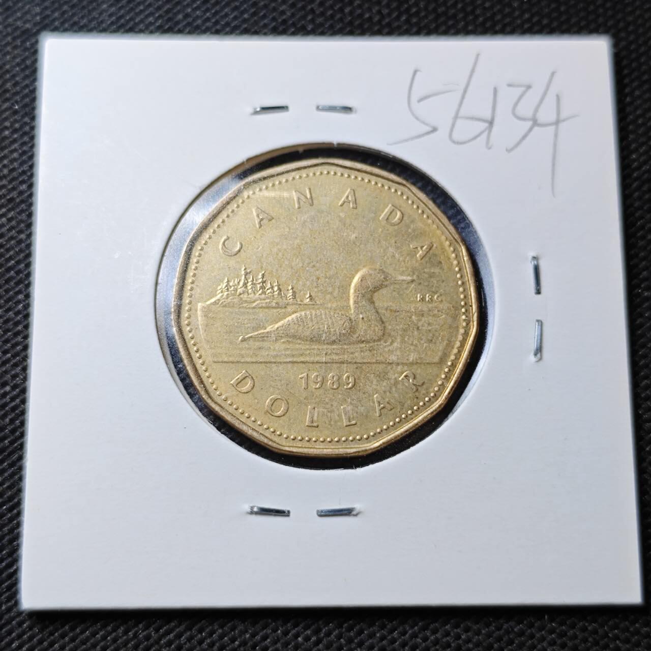 KK钱币收藏小铺  第356场  2月预留时间 周末发货