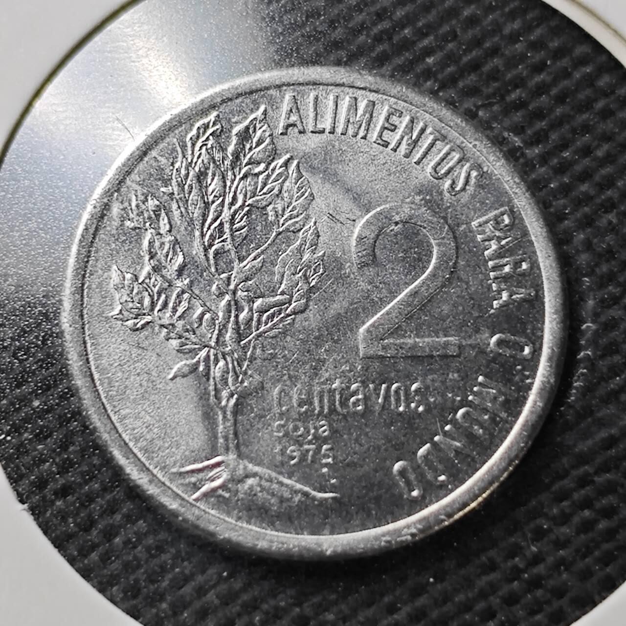 KK钱币收藏小铺  第356场  2月预留时间 周末发货