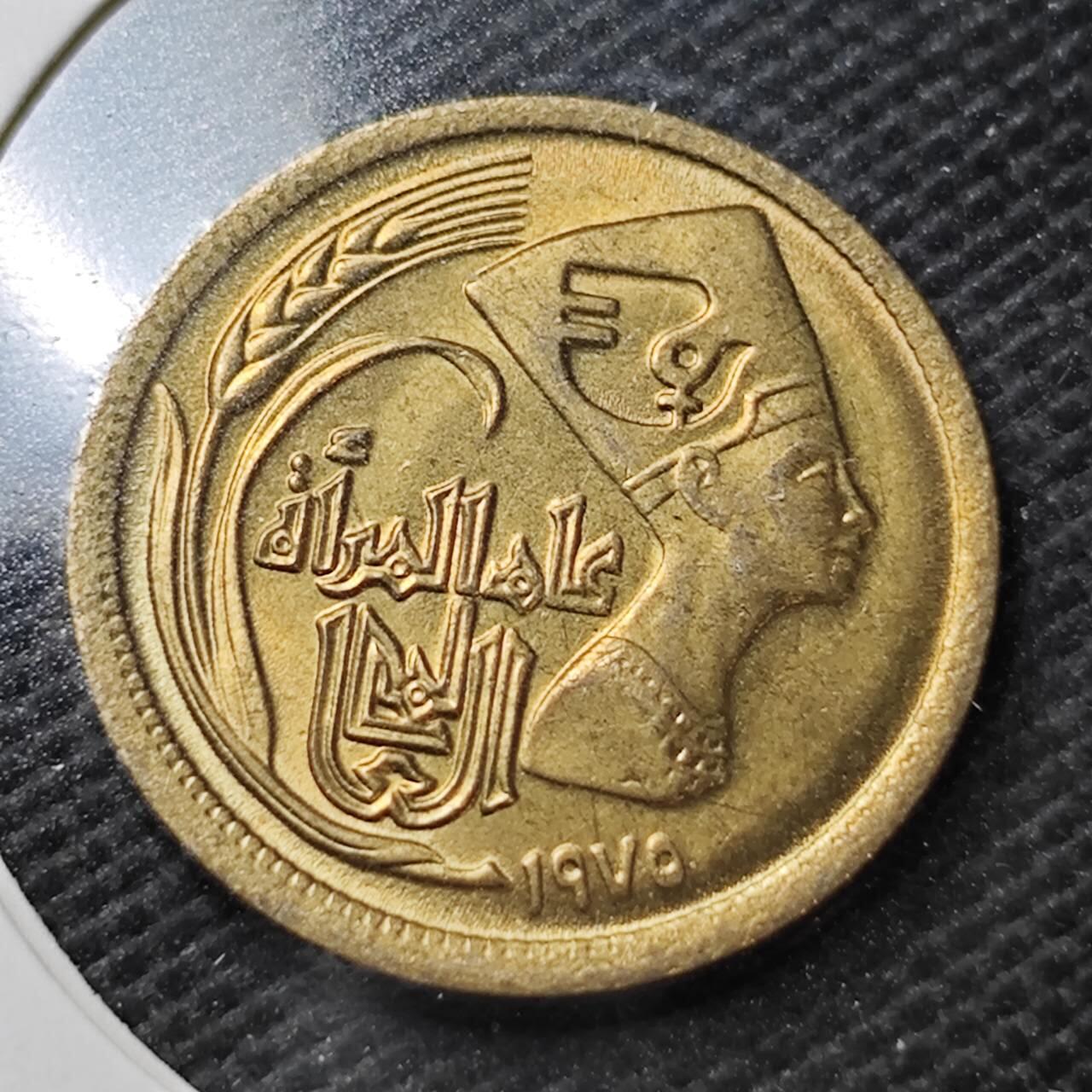 KK钱币收藏小铺  第356场  2月预留时间 周末发货