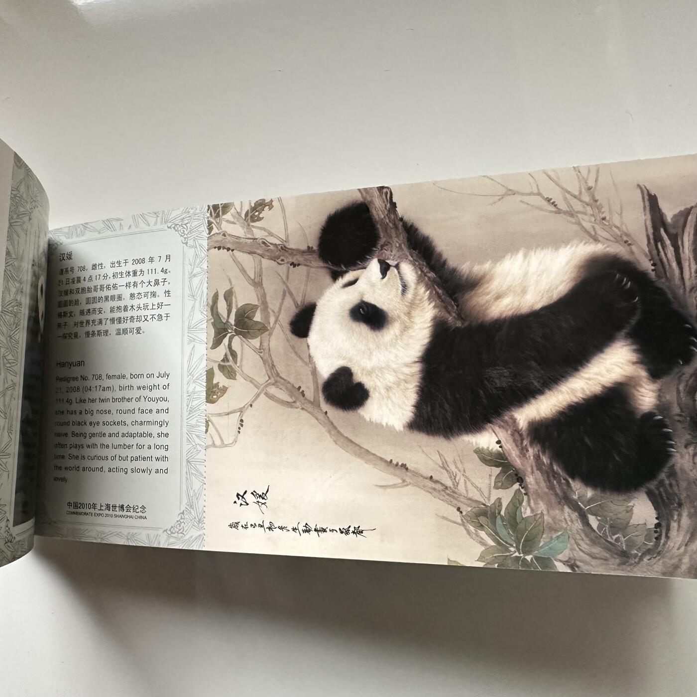 🌹外币初藏🌹🐯2025年第117场  每周二四六晚8️⃣点 接代拍 世博会熊猫明信片一本
