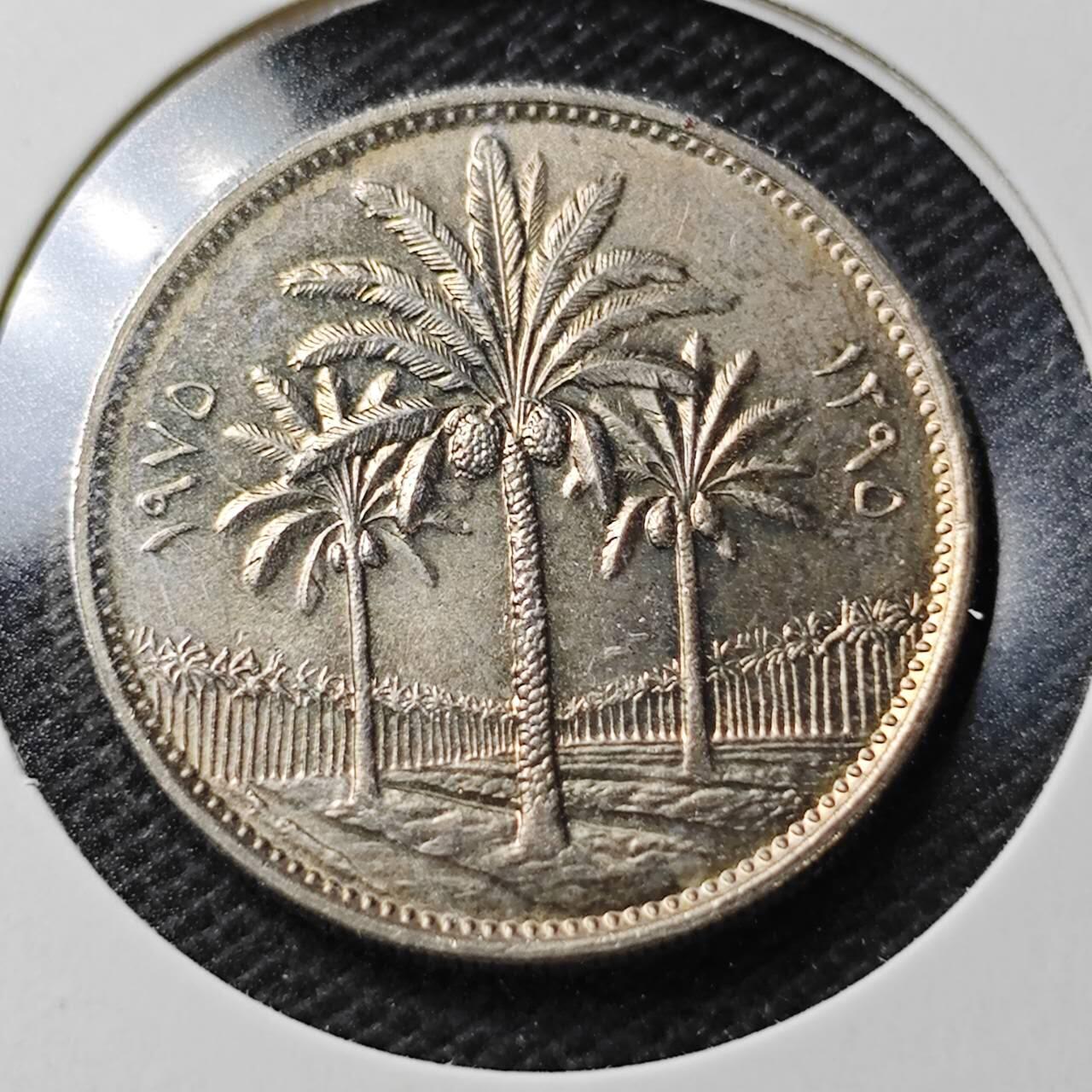 KK钱币收藏小铺  第356场  2月预留时间 周末发货