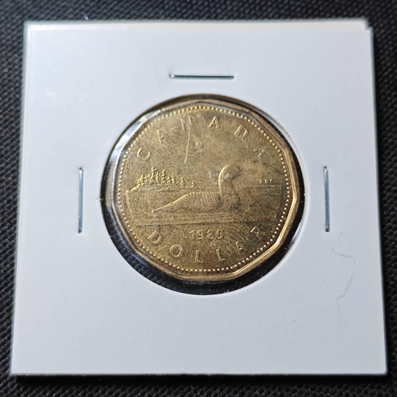 KK钱币收藏小铺  第356场  2月预留时间 周末发货