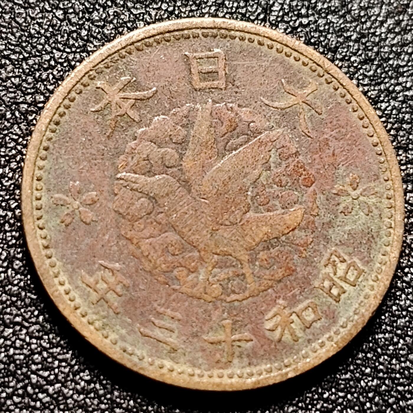 泉币菌-第112场-精品福利场 。