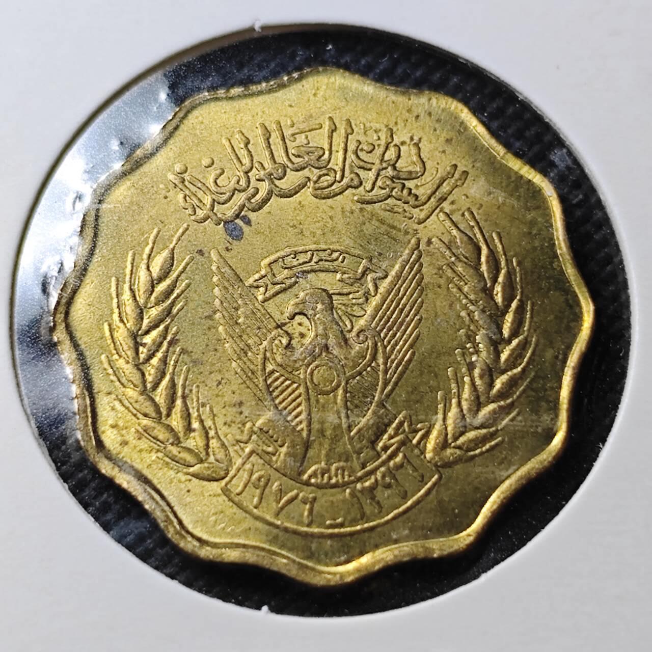 KK钱币收藏小铺  第356场  2月预留时间 周末发货