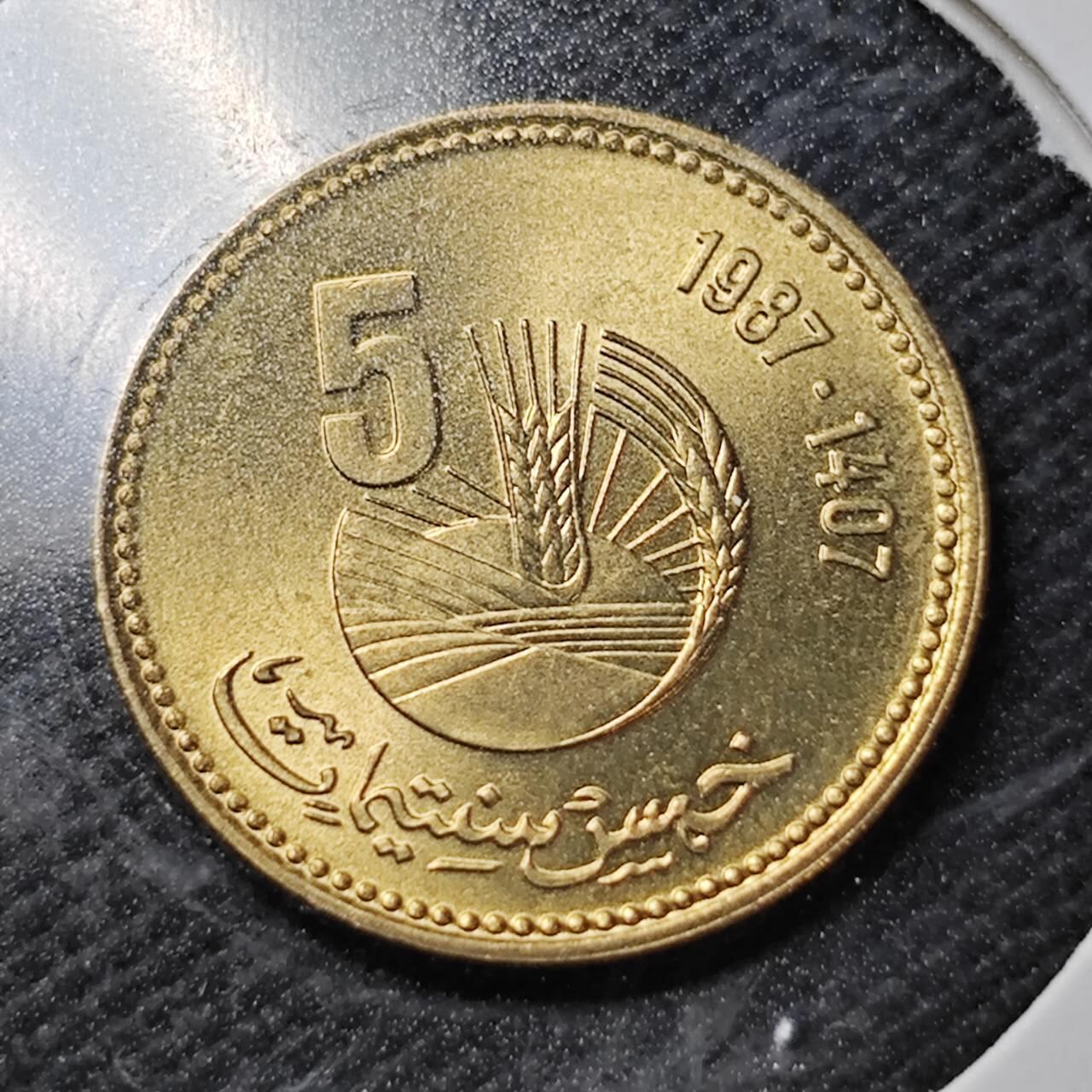 KK钱币收藏小铺  第356场  2月预留时间 周末发货