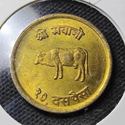 KK钱币收藏小铺  第356场  2月预留时间 周末发货 -  尼泊尔铜币 好品