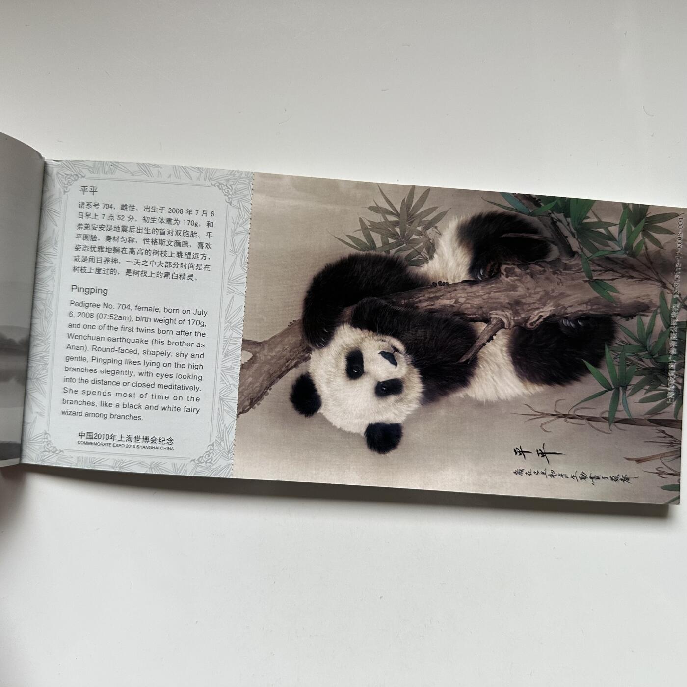 🌹外币初藏🌹🐯2025年第117场  每周二四六晚8️⃣点 接代拍 世博会熊猫明信片一本