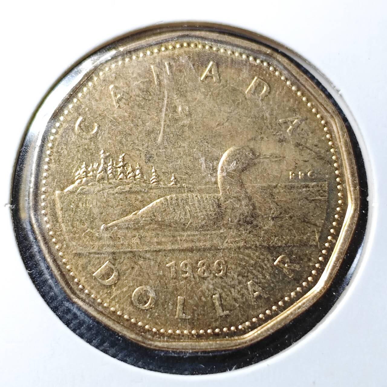 KK钱币收藏小铺  第356场  2月预留时间 周末发货