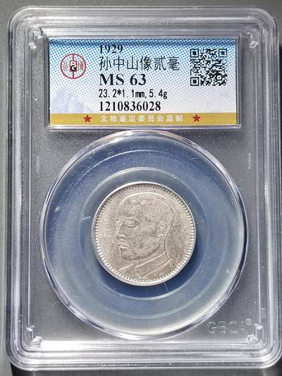 PCAI钱币22-555 乱七八糟小专场 - 广东双毫银币