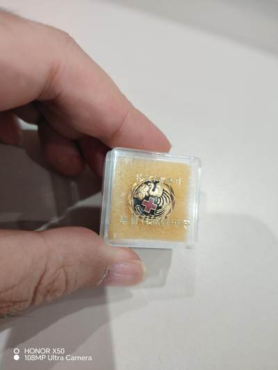 城南花开💐81场 - 金赤十字章