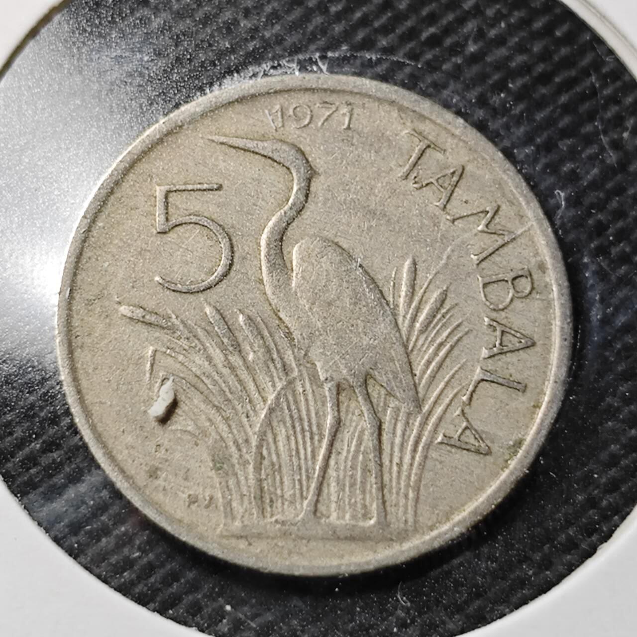 KK钱币收藏小铺  第356场  2月预留时间 周末发货