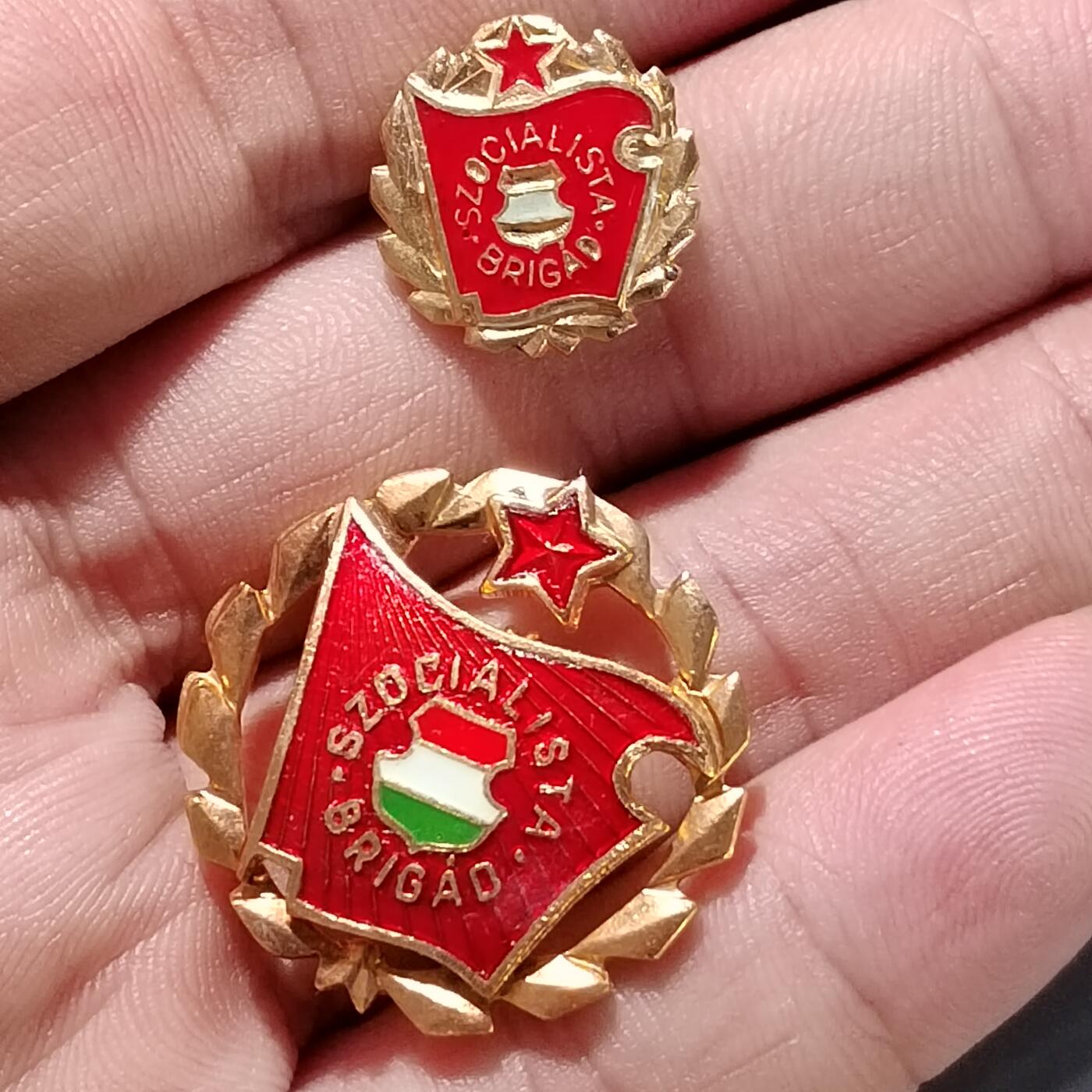 PCAI钱币22-555 乱七八糟小专场 匈牙利纪念章