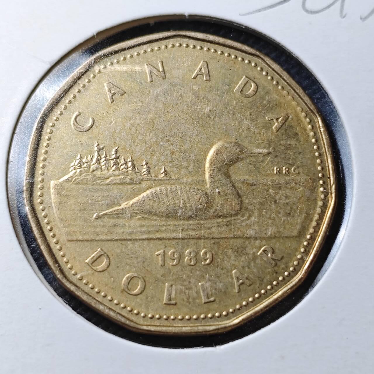 KK钱币收藏小铺  第356场  2月预留时间 周末发货