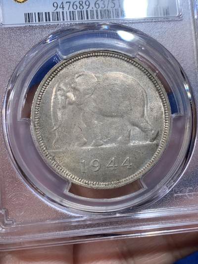 《竞宝斋》第430场 周日，周一，周二 3场连拍 （全场包邮） PCGS MS63 比属刚果1944年大象50法郎银币 非洲名誉品 原色自然褐色老包浆 光度优美舒服 高大雄壮的非洲象 仅八枚更高64分 可谓性价比之选
