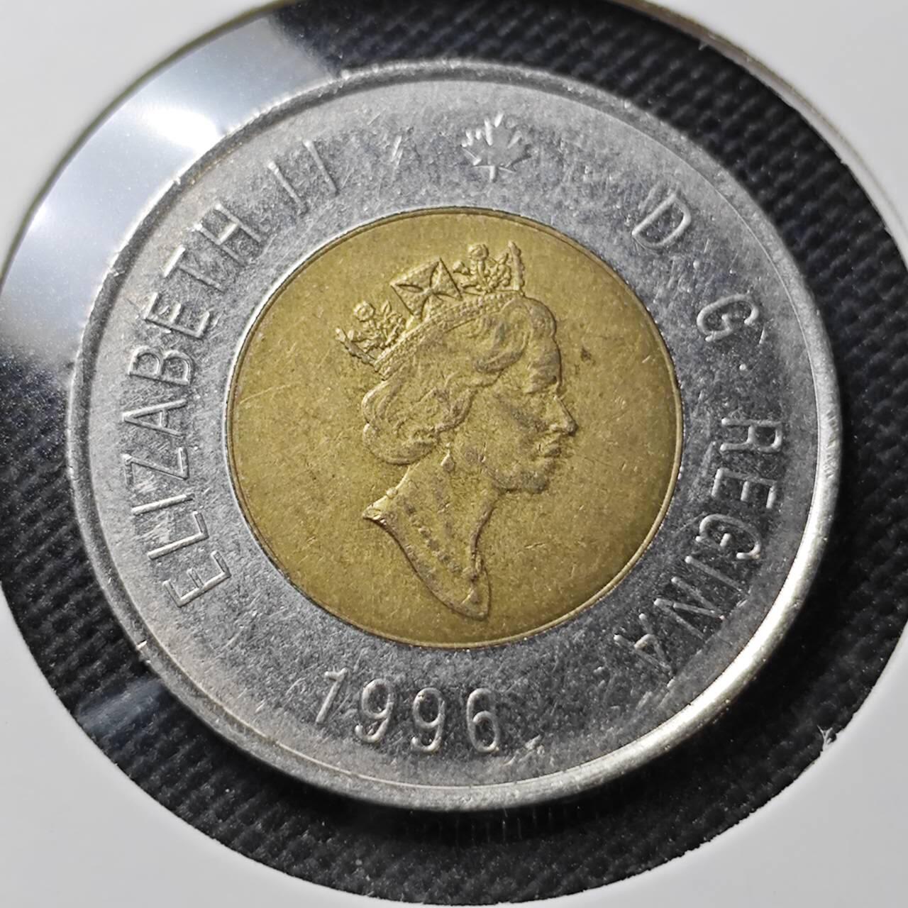 KK钱币收藏小铺  第356场  2月预留时间 周末发货