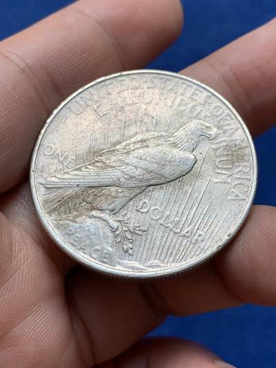 《竞宝斋》第430场 周日，周一，周二 3场连拍 （全场包邮） 美国1922年和平银币