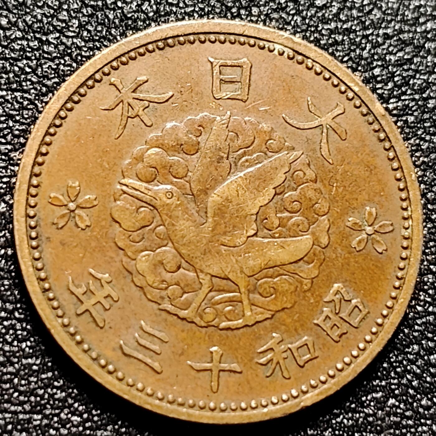 泉币菌-第113场-精品福利场 。