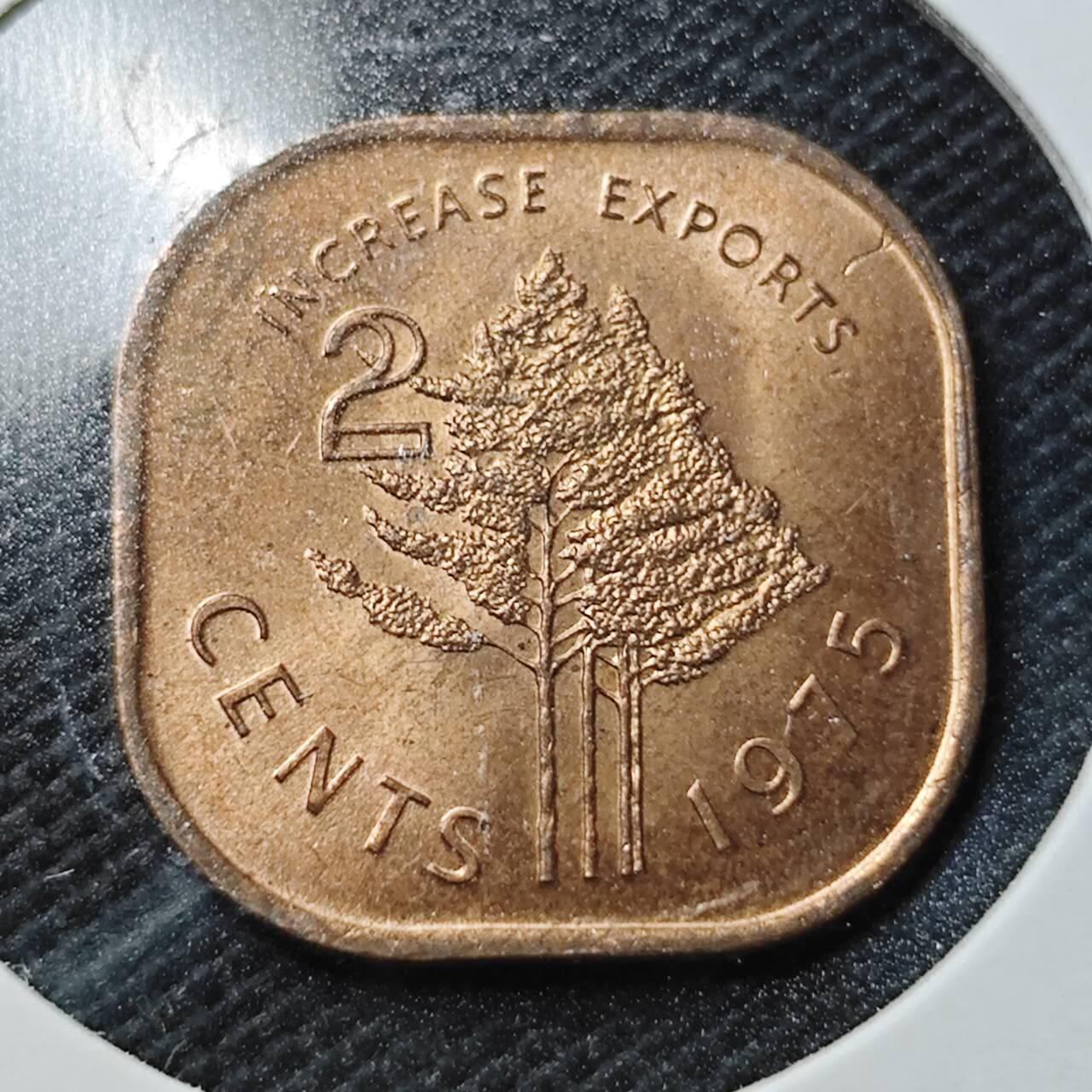 KK钱币收藏小铺  第356场  2月预留时间 周末发货  斯威士兰2分铜币 好品