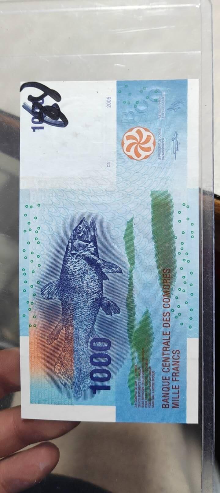 图南收藏 科摩罗