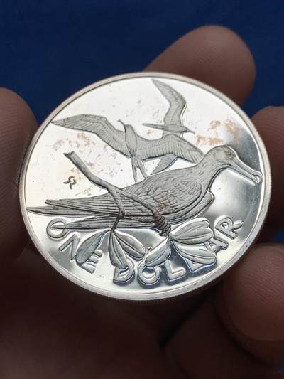 《竞宝斋》第430场 周日，周一，周二 3场连拍 （全场包邮） 英属维京群岛1974年军舰鸟1Dollar精铸大银币，38.6mm，24.8g。