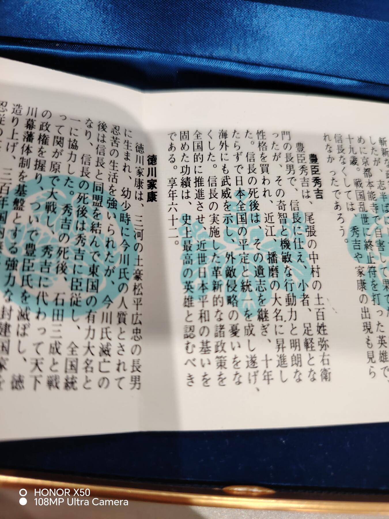 城南花开💐81场