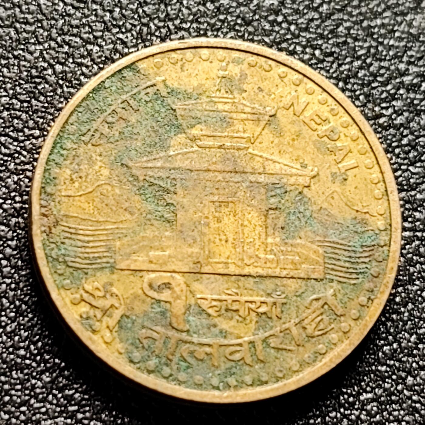 泉币菌-第114场-精品福利场 。