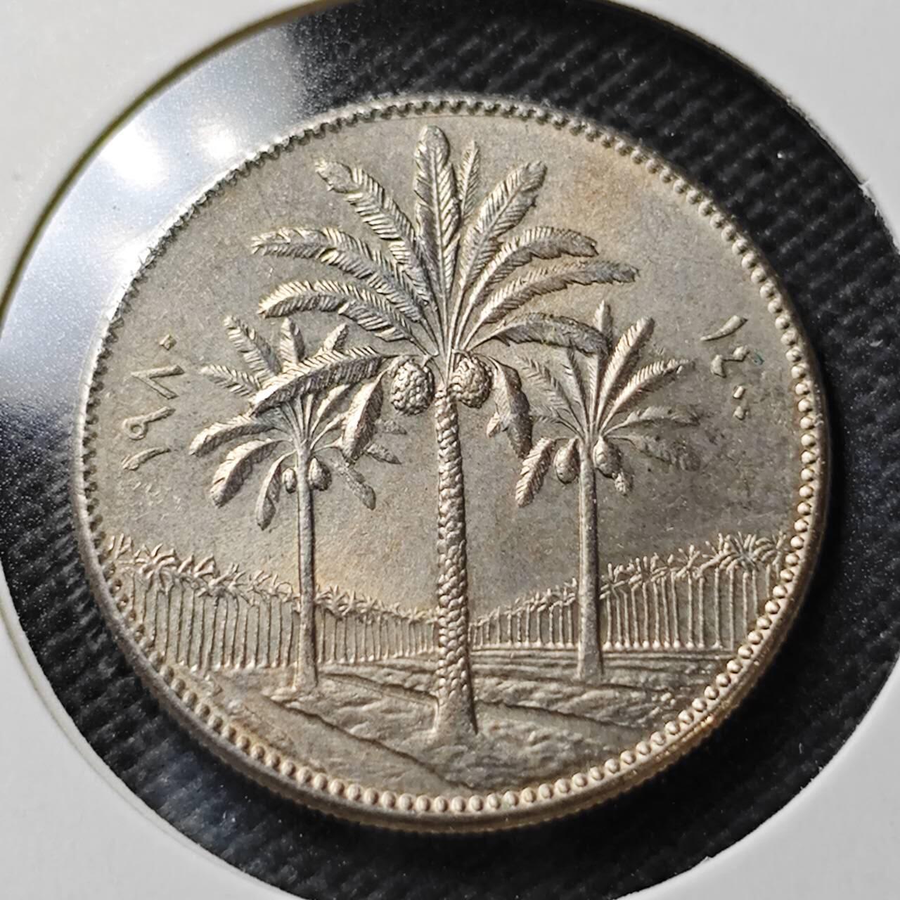 KK钱币收藏小铺  第356场  2月预留时间 周末发货