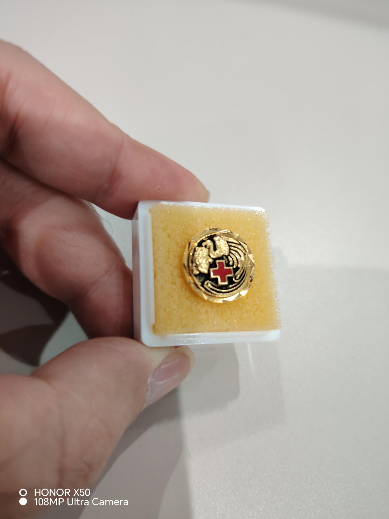 城南花开💐81场