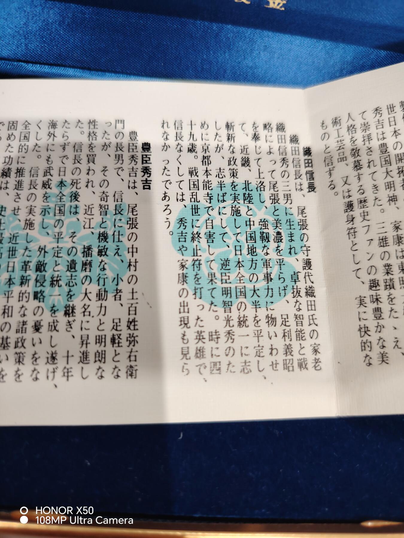 城南花开💐81场