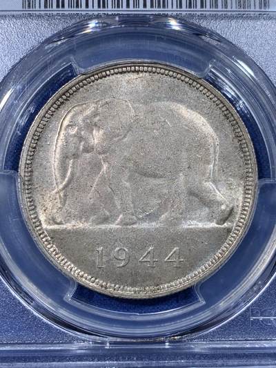 《竞宝斋》第430场 周日，周一，周二 3场连拍 （全场包邮） PCGS MS63 比属刚果1944年大象50法郎银币 非洲名誉品 原色自然褐色老包浆 光度优美舒服 高大雄壮的非洲象 仅八枚更高64分 可谓性价比之选