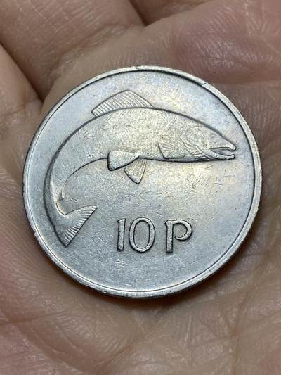 2025年第一百一十四场(总第一百四十场）外国好品散币(免佣金) - 爱尔兰🇮🇪1978年10便士(共和国时期第二套第一版)