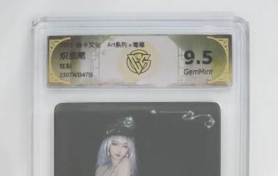 NO.13 好又多金牌大场，每周一站式配齐，方便凑单！（周6晚8点截拍，卖家送拍0抽成！） - 焱卡 art*毒瘤 炽须尾 炫彩 9.5G
