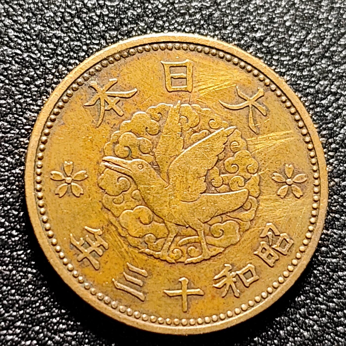 泉币菌-第115场-精品福利场 。