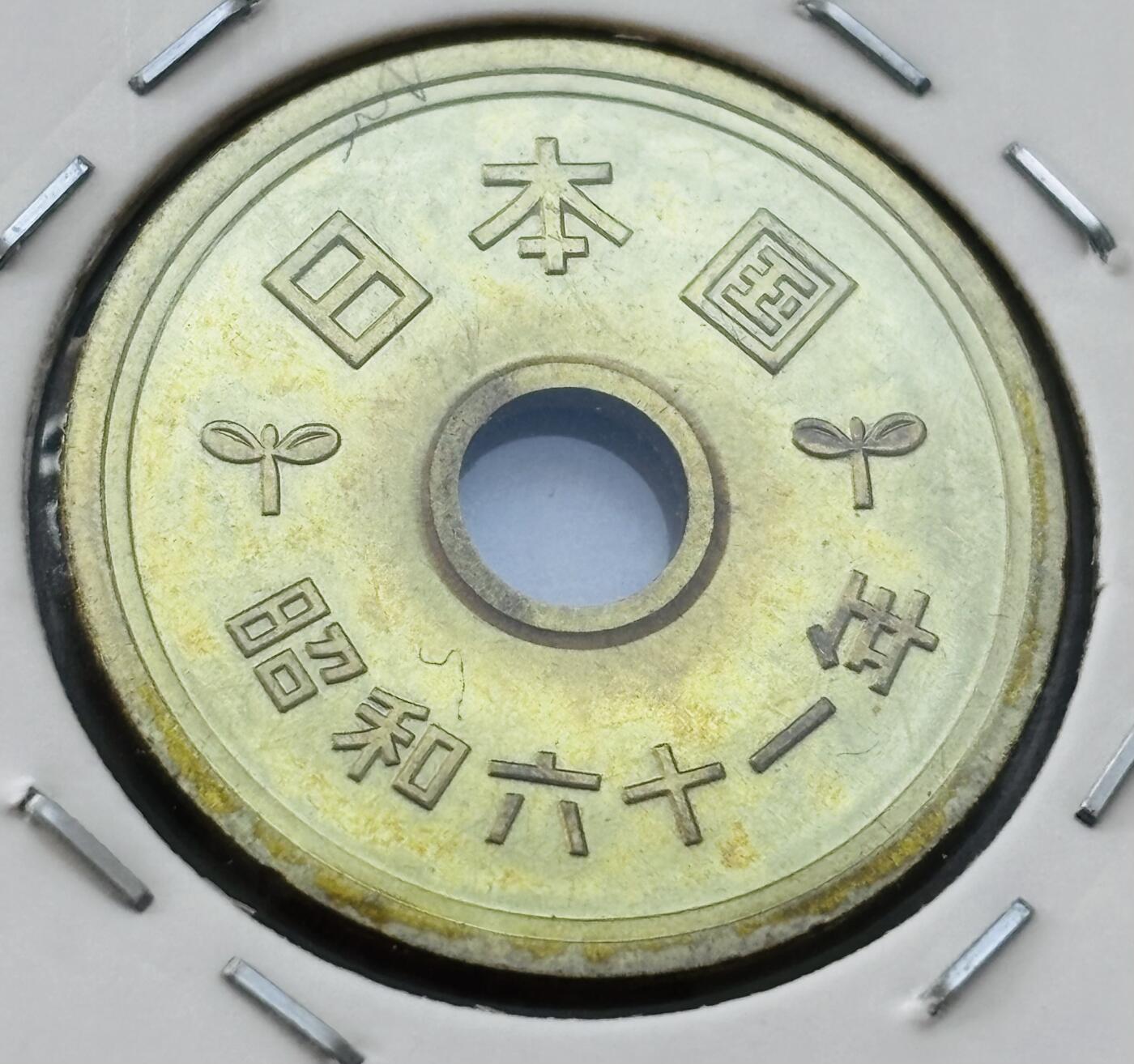文馨钱币收藏第 277 场，熊猫金币，银币，老藏家日本明治时代到昭和时代全时期专场（特年非常多），长期接收代拍品 全新日本昭和六十一年 五元 第三版 来自上海老藏家册拆