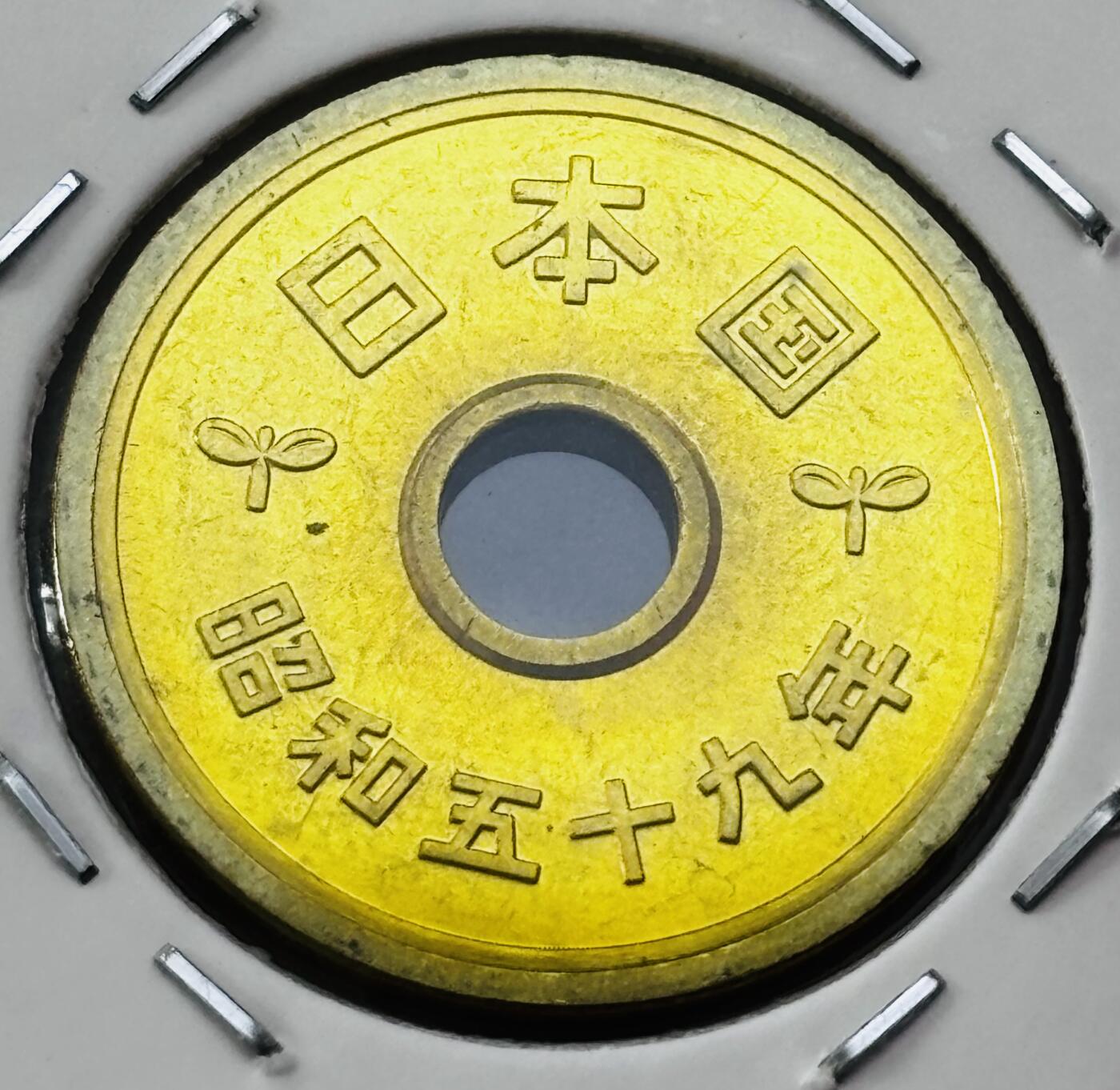 文馨钱币收藏第 277 场，熊猫金币，银币，老藏家日本明治时代到昭和时代全时期专场（特年非常多），长期接收代拍品 全新日本昭和五十九年 五元 第三版 来自上海老藏家册拆