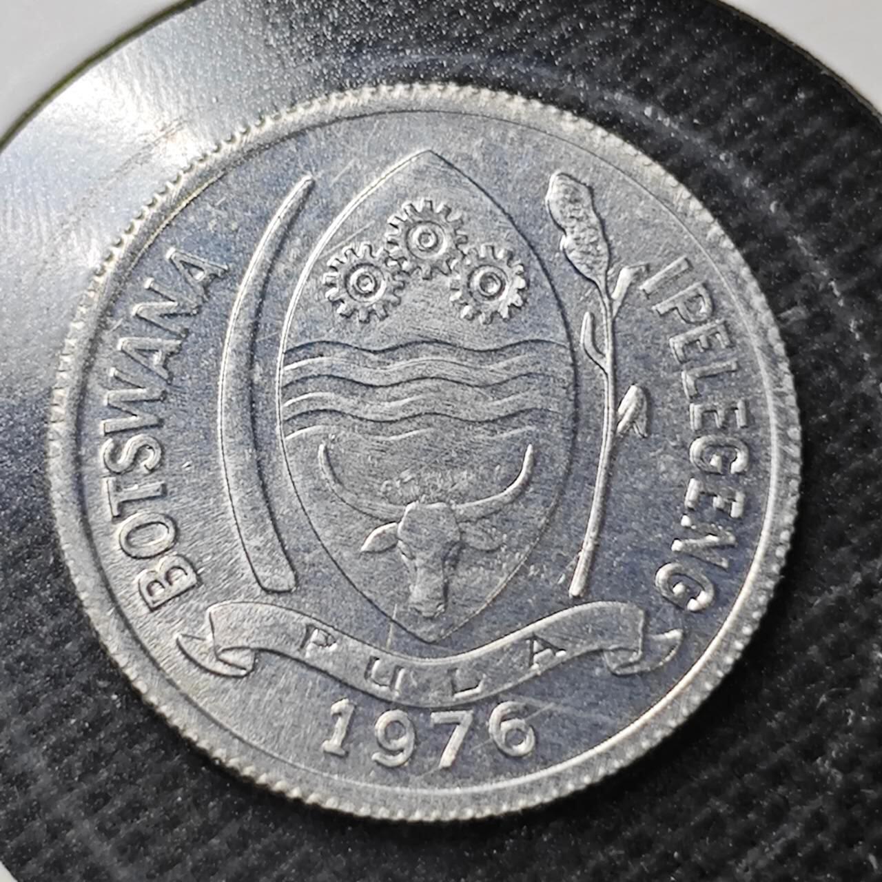 KK钱币收藏小铺  纪念币专场  2月预留时间 周末发货