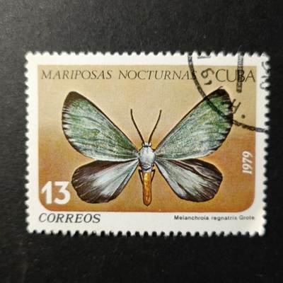 嘉禾收藏    【第356期】            无佣金、可寄存、满30元包邮 - 蝴蝶🦋