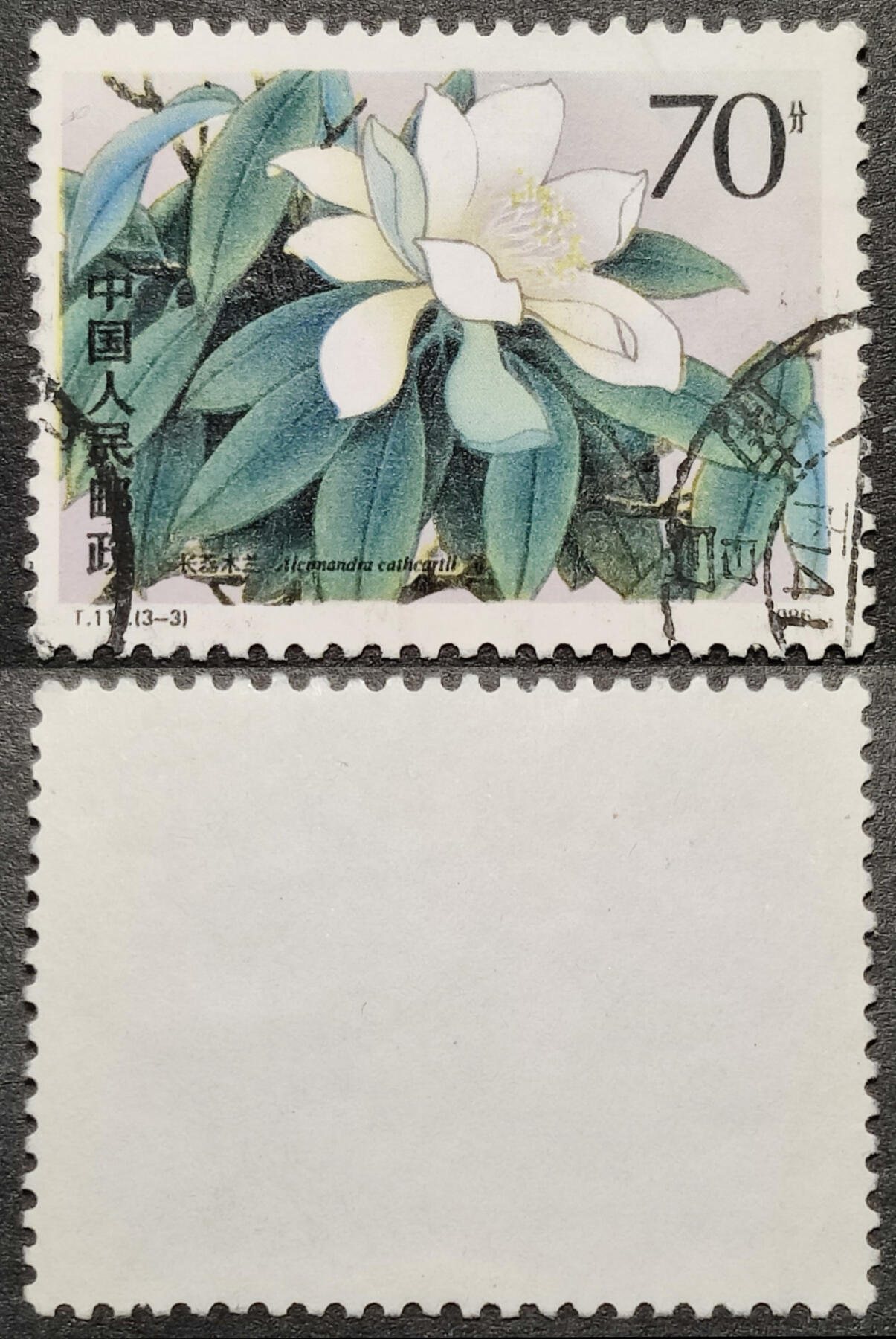 洪涛臻品批发群 精选邮票限时拍卖第1151期  T111木兰70分大筋 面艳背白票挺无人为 信销全品