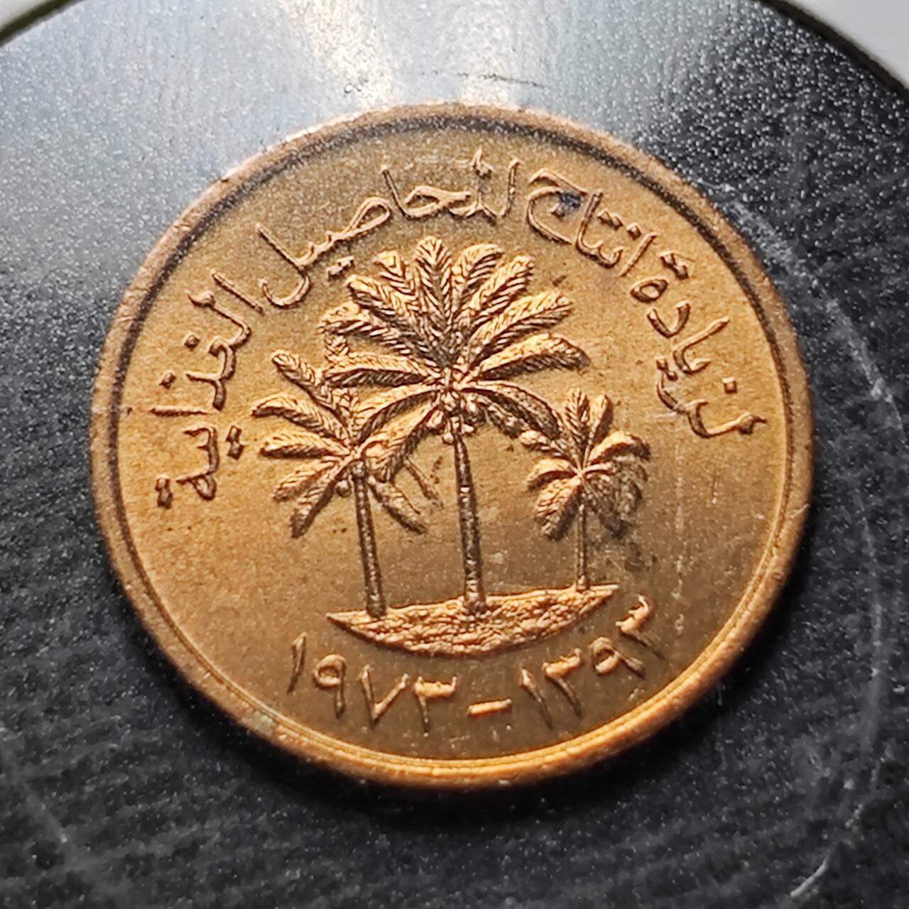 KK钱币收藏小铺  纪念币专场  2月预留时间 周末发货  阿联酋1费尔纪念币