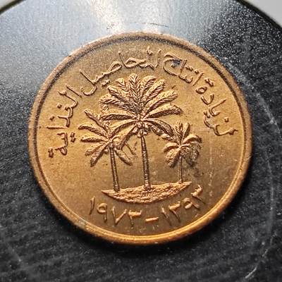 KK钱币收藏小铺  纪念币专场  2月预留时间 周末发货 -  阿联酋1费尔纪念币