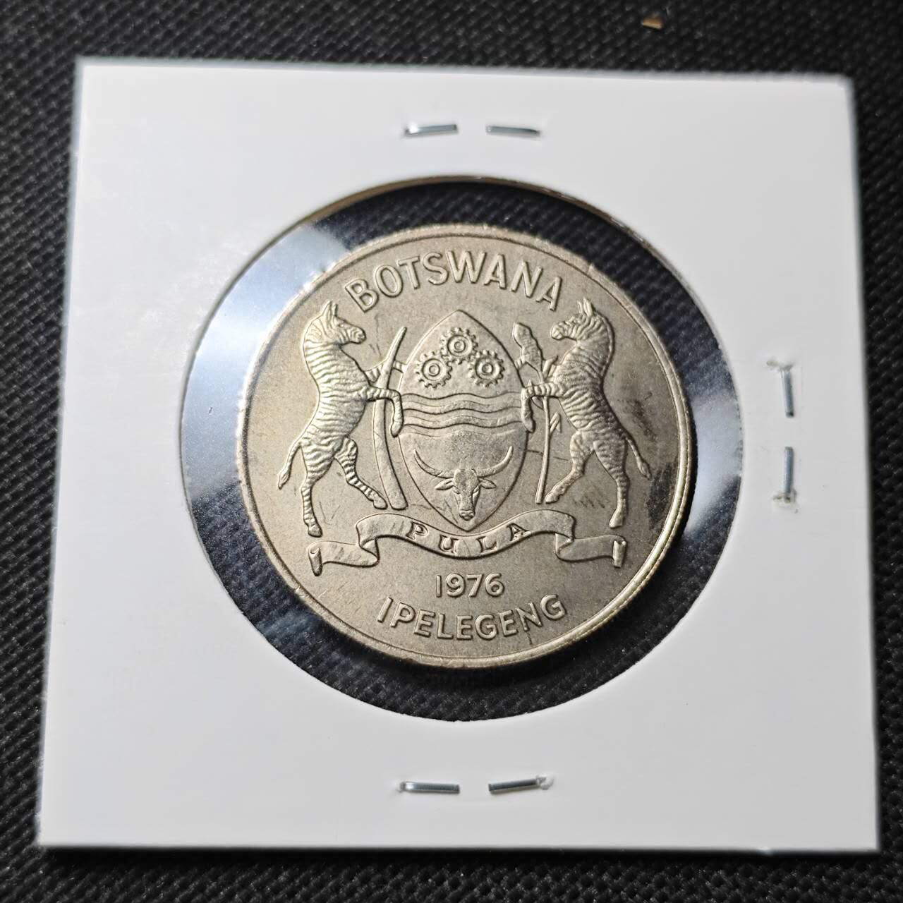 KK钱币收藏小铺  纪念币专场  2月预留时间 周末发货