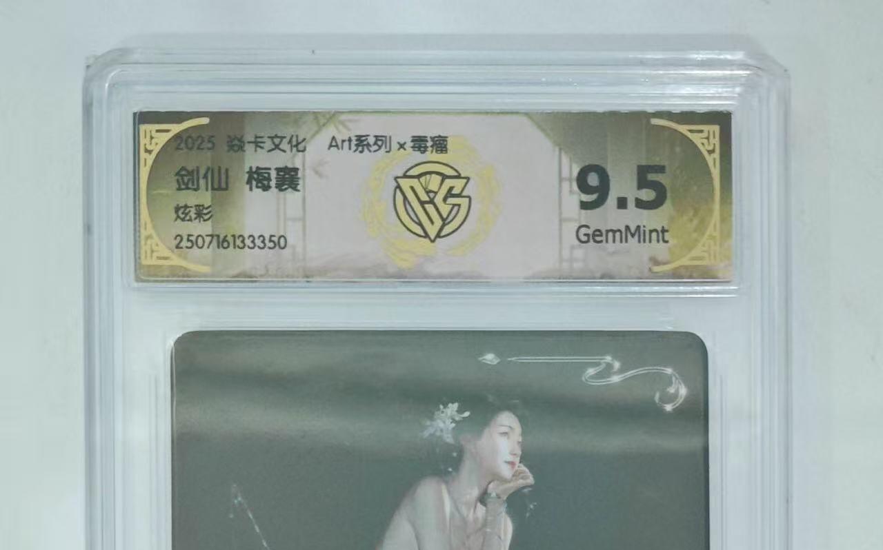 NO.13 好又多金牌大场，每周一站式配齐，方便凑单！（周6晚8点截拍，卖家送拍0抽成！） 焱卡 art*毒瘤 剑仙梅襄 炫彩 9.5G