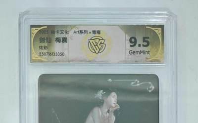 NO.13 好又多金牌大场，每周一站式配齐，方便凑单！（周6晚8点截拍，卖家送拍0抽成！） - 焱卡 art*毒瘤 剑仙梅襄 炫彩 9.5G