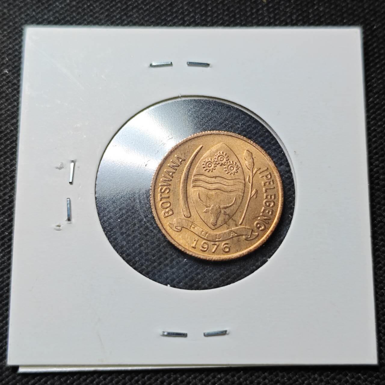 KK钱币收藏小铺  纪念币专场  2月预留时间 周末发货