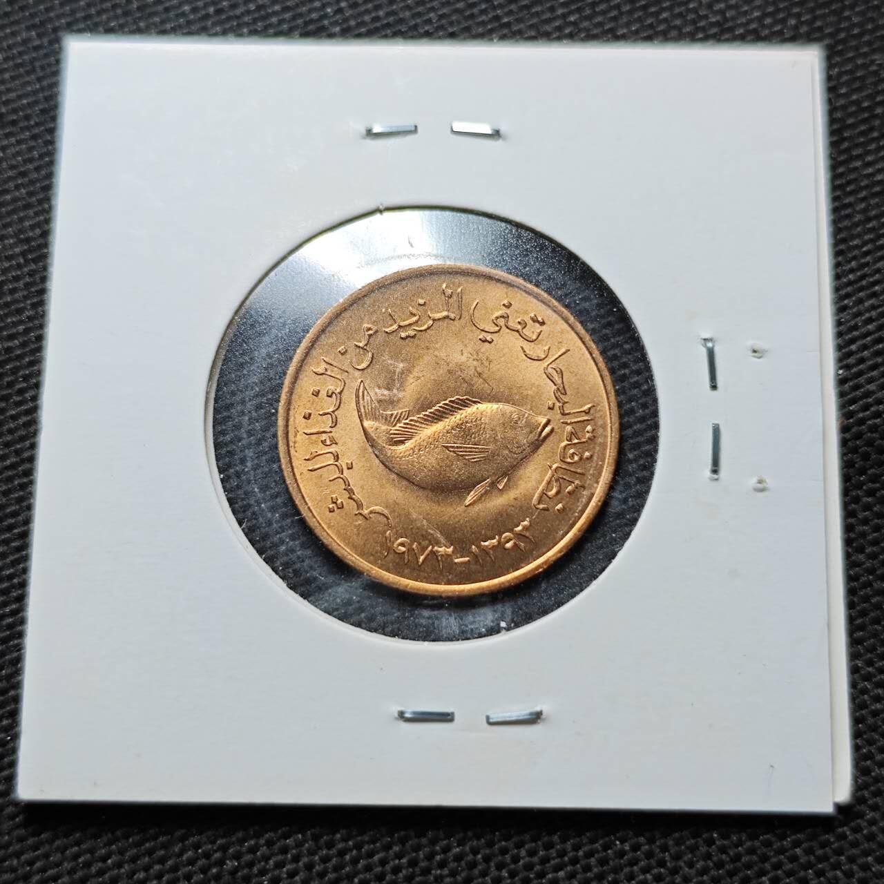 KK钱币收藏小铺  纪念币专场  2月预留时间 周末发货  阿联酋5费尔铜币