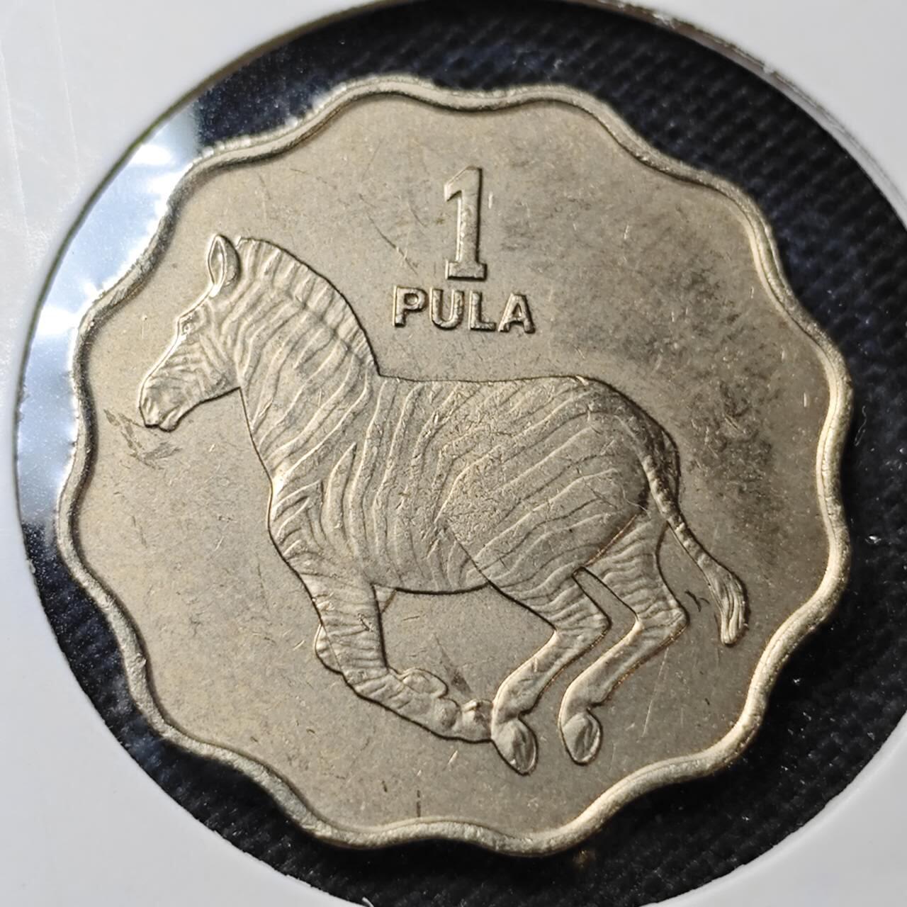 KK钱币收藏小铺  纪念币专场  2月预留时间 周末发货  1976博茨瓦纳1普拉 好品