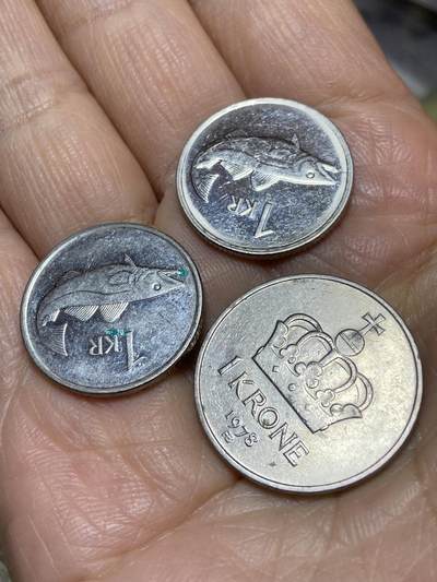 2025年第一百一十四场(总第一百四十场）外国好品散币(免佣金) - 3枚：冰岛🇮🇸1991年2011年1克朗，挪威🇳🇴1978年1克朗